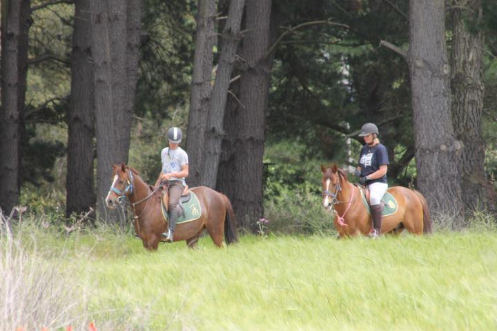 Residential Horse Club Costa Brava Santa Cristina d'Aro Bagian luar foto