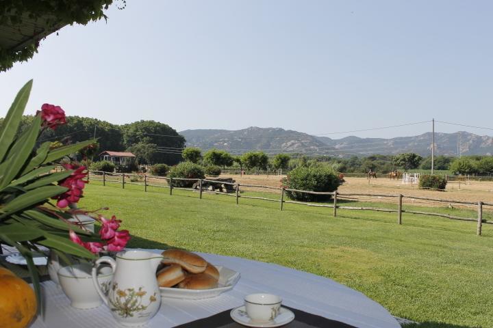 Residential Horse Club Costa Brava Santa Cristina d'Aro Ruang foto